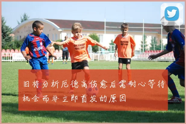 旧将分析厄德高伤愈后需耐心等待机会而非立即首发的原因