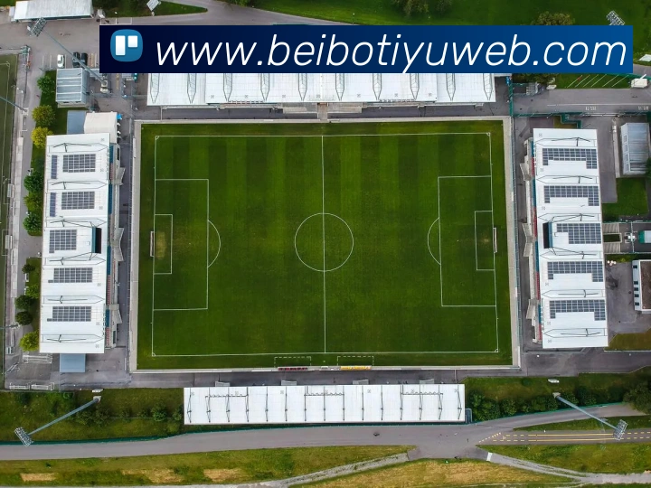 App Interface Preview